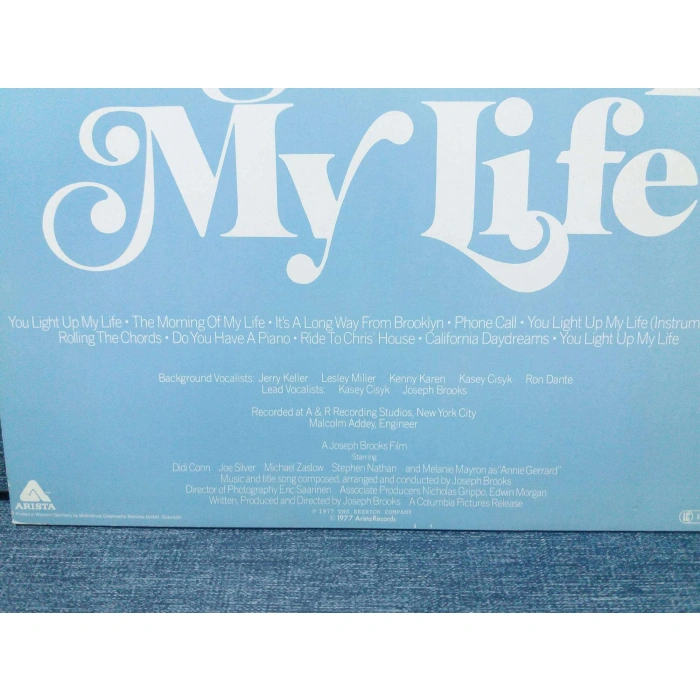 YOU LIGHT UP MY LIFE FILM MUSIC