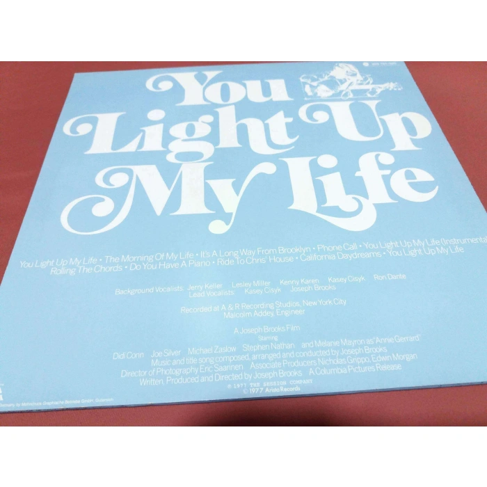 YOU LIGHT UP MY LIFE FILM MUSIC