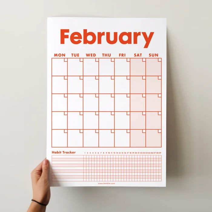 12 Aylık Planlayıcı Zamansız Takvim, Alışkanlık Takip Planlayıcı, Sürekli Takvim, Renkli Tarihsiz Takvim, 33 x 48 cm, A4, Undated Monthly Wall Planner, Habit Tracker Planner, Perpetual Wall Calendar, Colorful