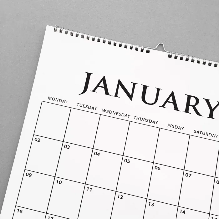 2025 Aylık Planlama Duvar Takvimi, Aylık Planlayıcı Takvim, Üstüne Yazılabilir