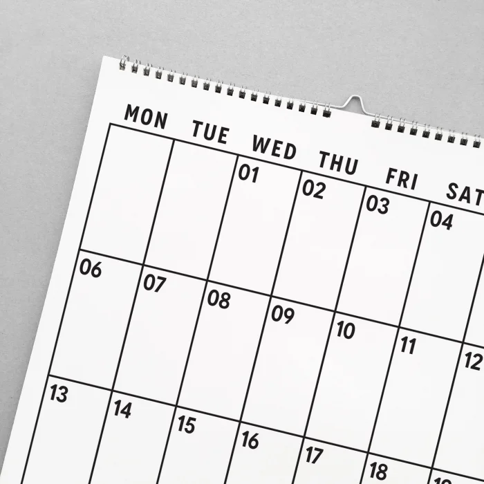 2025 Aylık Planlayıcı Duvar Takvimi, 33X48 cm, A4, Spiralli Takvim, Poster Takvim, Organizer Takvim