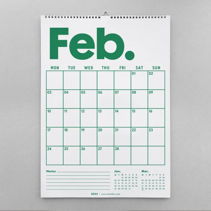 2025 Aylık Planlayıcı Duvar Takvimi, Önceki ve Sonraki Ay Takvim, 33X48 cm & A4 Spiralli Takvim, Canlı Gökkuşağı Renkleri