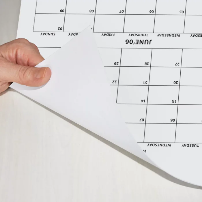 2025 Yıllık Planlayıcı Duvar Takvimi, 2025 Planlayıcı Takvim, 2025 Year Planner