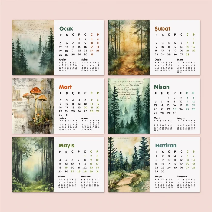 2026 Orman Masa Takvimi | Üç Aylık Takvim - Önceki Ay Sonraki Ay | Doğa ve Ağaç İllüstrasyonları | Minimal Ofis ve Ev Dekoru