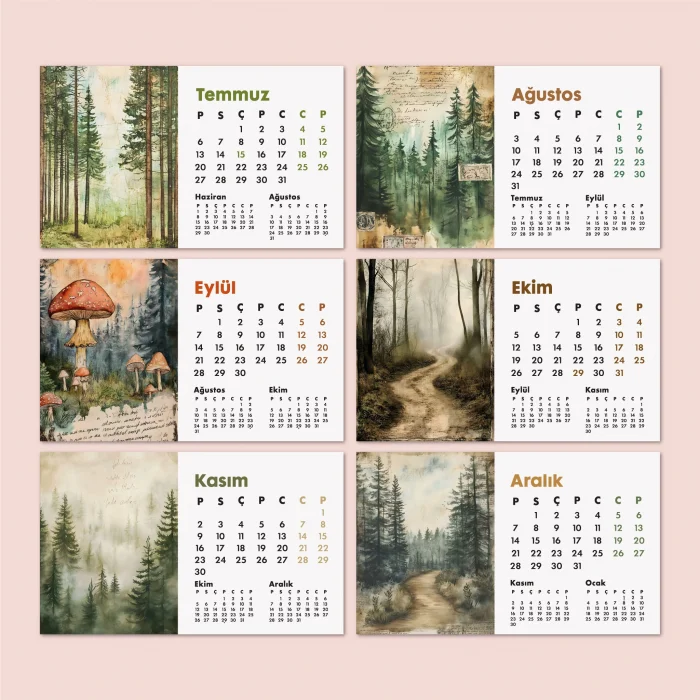 2026 Orman Masa Takvimi | Üç Aylık Takvim - Önceki Ay Sonraki Ay | Doğa ve Ağaç İllüstrasyonları | Minimal Ofis ve Ev Dekoru