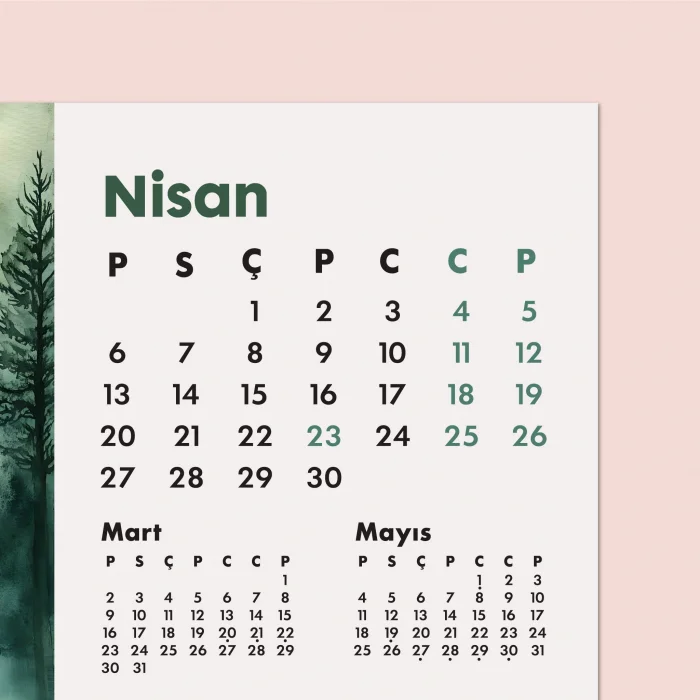 2026 Orman Masa Takvimi | Üç Aylık Takvim - Önceki Ay Sonraki Ay | Doğa ve Ağaç İllüstrasyonları | Minimal Ofis ve Ev Dekoru
