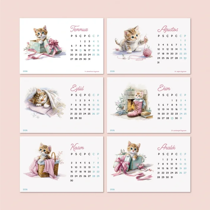 2027 Sevimli Yavru Kedili Masa Takvimi | Doğal Ahşap Tabanlı Takvim | Pastel Pembe Kedi illüstrasyonlu Takvim