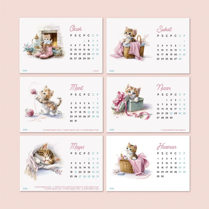 2027 Sevimli Yavru Kedili Masa Takvimi | Doğal Ahşap Tabanlı Takvim | Pastel Pembe Kedi illüstrasyonlu Takvim
