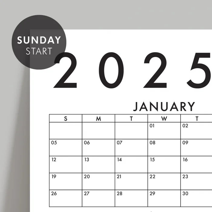 Amerikan Standardı 2025 Yıllık Planlayıcı Duvar Takvimi