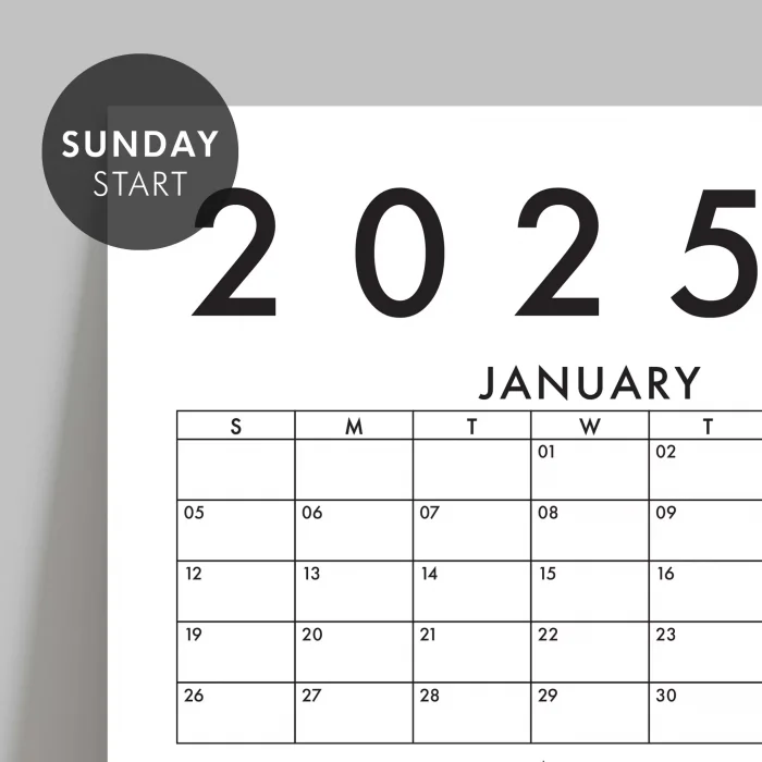 Amerikan Standardı 2026 Yıllık Planlayıcı Duvar Takvimi