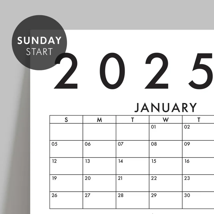 Amerikan Standardı 2027 Yıllık Planlayıcı Duvar Takvimi