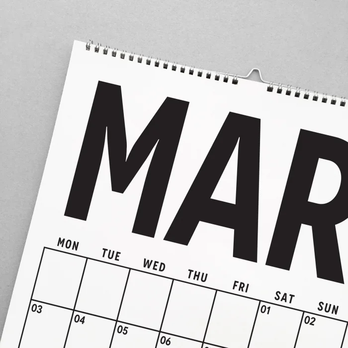 Aylık Planlayıcı 2026 Duvar Takvimi, A4 Takvim, 33X48 cm Spiralli Takvim