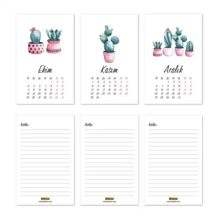 Kaktüs 2026 Masa Takvimi