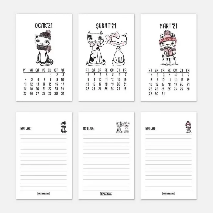 Kedili 2025 Masa Takvimi