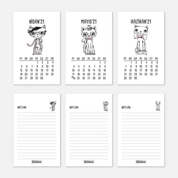 Kedili 2025 Masa Takvimi