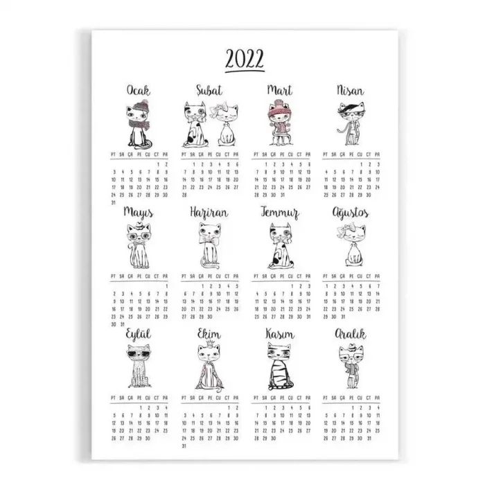 Kedili Poster Takvim, 2027 Kedili Duvar Takvimi