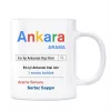 Ankara Google Arama Motoru Kupa