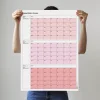 Tarihsiz Üç Aylık Duvar Takvimi, 90 Günlük Plan, Duvar Planlayıcı, Pembe Renk - 70x100 cm