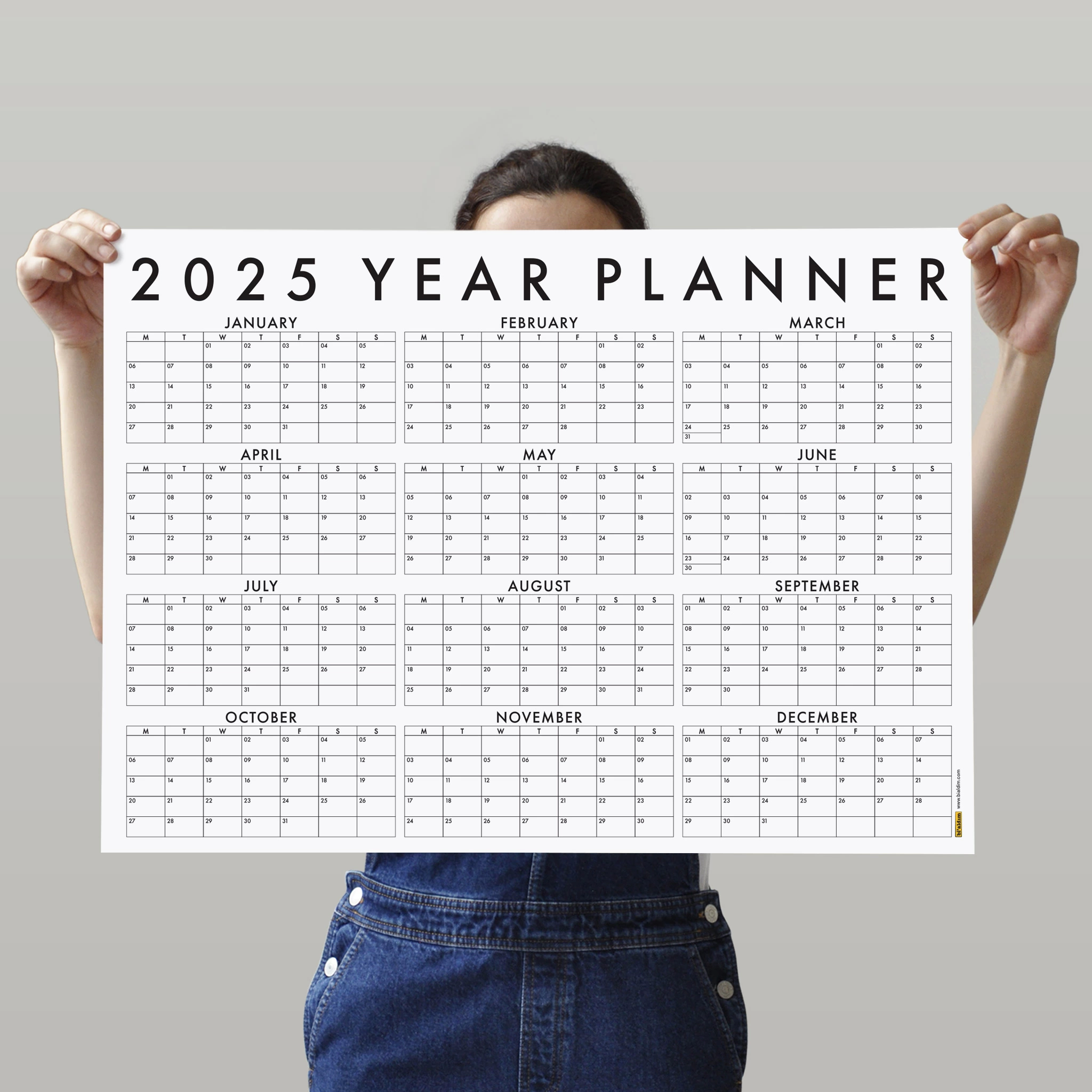 2025 Yıllık Planlayıcı Duvar Takvimi 2025 Takvim