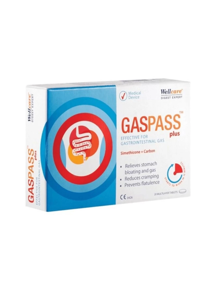 Wellcare Gasspass Plus 20 Tablet