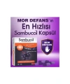 Sambucol Plus Kara Mürver Özütü + C Vitamini & Çinko 15 Kapsül