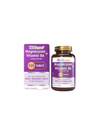 Wellcare Magnesium Vitamin B6 120 Tablet