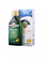 Möllers Omega 3 Limonlu Balık Yağı Şurubu 250 ml
