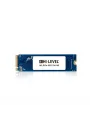 256GB HI-LEVEL HLV-M2PCIeSSD2280/256G NVMe SSD