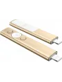 LOGITECH SPOTLIGHT PRESENTER GOLD 910-004862