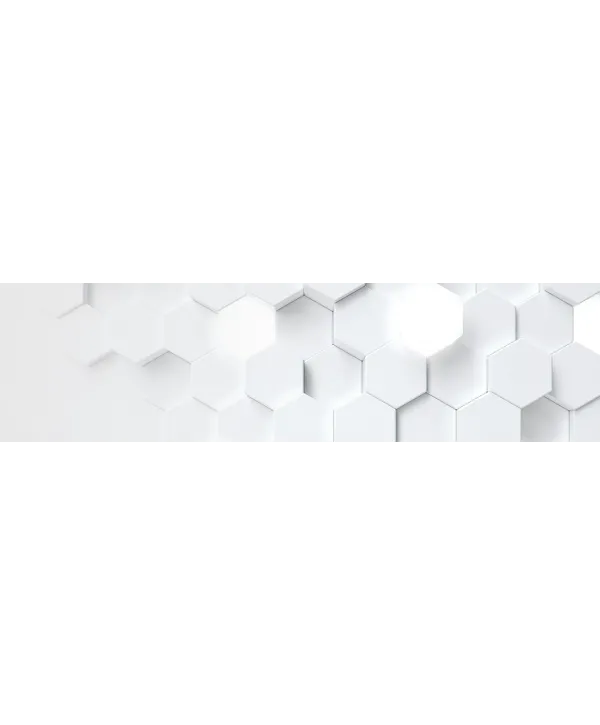 1TB KIOXIA EXCERIA PLUS G4 M.2 NVMe GEN5 10000/7900MB/s LVD10Z001TG8