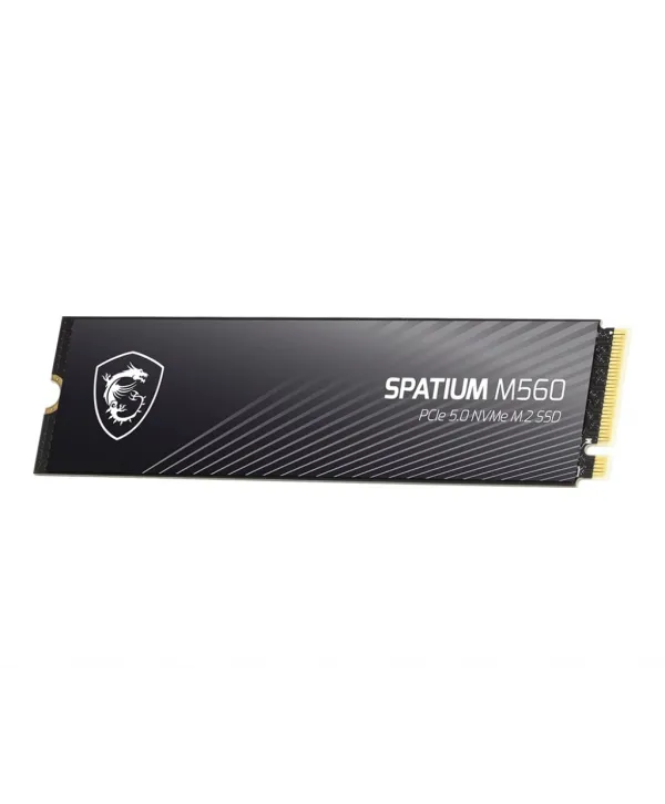 2TB MSI SPATIUM M560 PCIE 5.0 NVME M2 10300/8700MB/s