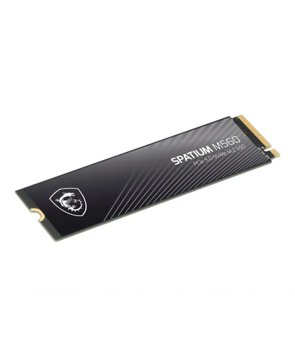 2TB MSI SPATIUM M560 PCIE 5.0 NVME M2 10300/8700MB/s