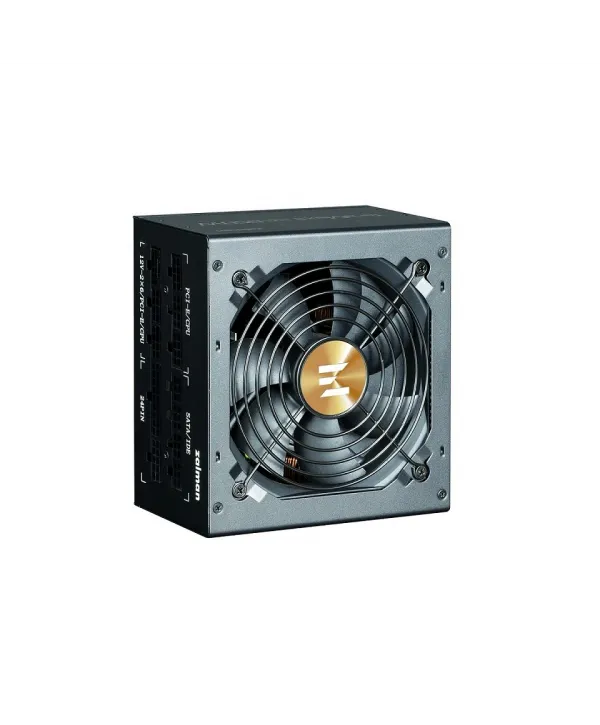 ZALMAN ZM1000-TMX2SE(TeraMaxIISE)+80 P POWER SUPPLY