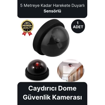 Deluxe 5 Metre Harekete Duyarlı Pilli Yanıp Sönen Kırmızı Işıklı Caydırıcı Dome Güvenlik Kamerası
