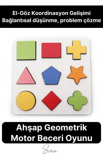 Eğitici Öğretici Ahşap Renkli Geometrik Şekil Yerleştirme Birleştirme Oyuncağı 9lu Okul Öncesi