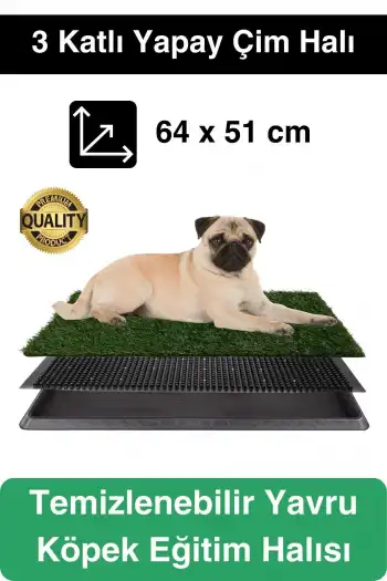 Özel Üretim 3 Katlı Evcil Hayvan Tuvalet Eğitim Halısı Yavru Köpek Yapay Çim Pet Park Temizlenebilir
