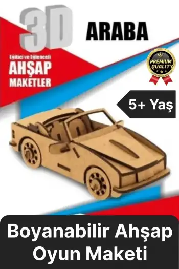 Premium Çocuk Eğitici Öğretici Zeka Geliştirici Boyanabilir 3 Boyutlu Demonte Ahşap Oyun Maketi