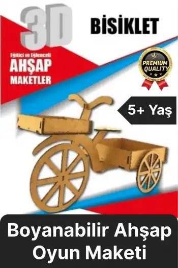 Premium Çocuk Eğitici Öğretici Zeka Geliştirici Boyanabilir 3 Boyutlu Demonte Ahşap Oyun Maketi