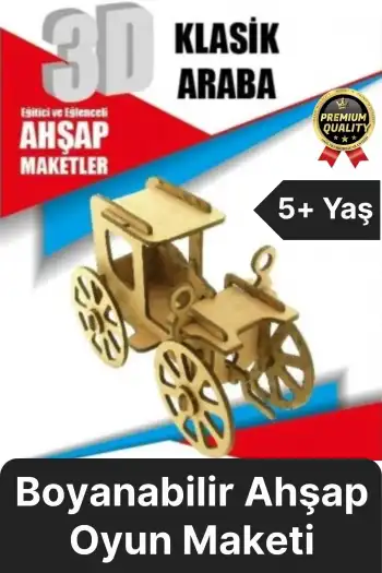 Premium Çocuk Eğitici Öğretici Zeka Geliştirici Boyanabilir 3 Boyutlu Demonte Ahşap Oyun Maketi