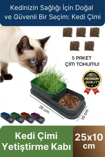 Premium Seri Hidroponik Topraksız Doğal 5 Adet Tohum Hediyeli Kedi Çimi Yetiştirme Kabı 25 x 10 cm