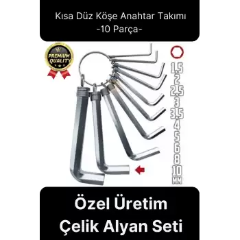 Özel Üretim Tamir Usta Altı Köşeli Bozuk Vida Kısa Düz Köşe Anahtar Takımı Çelik Alyan Seti 10 Parça