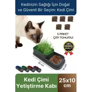 Premium Seri Hidroponik Topraksız Doğal 5 Adet Tohum Hediyeli Kedi Çimi Yetiştirme Kabı 25 x 10 cm