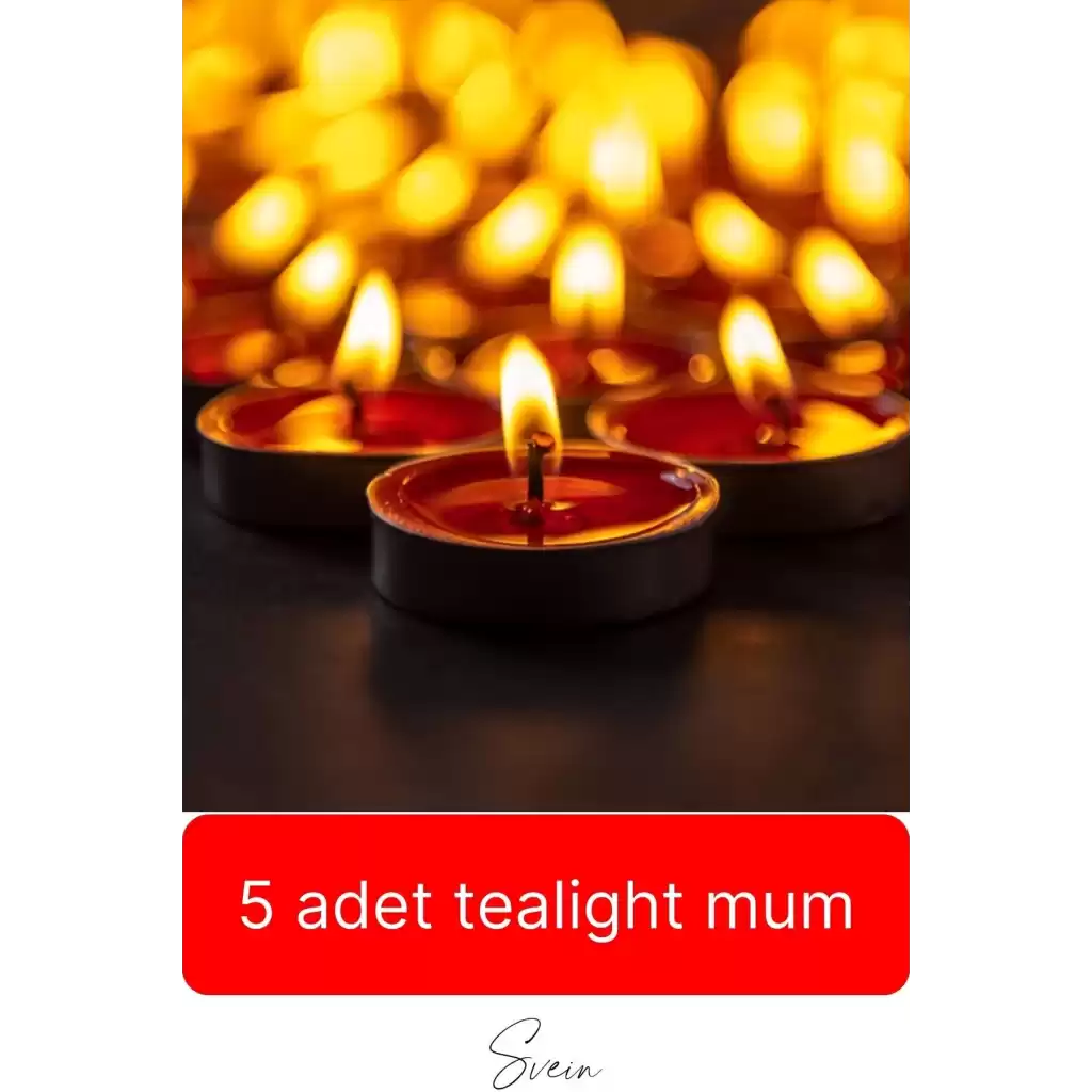 Deluxe Sevgililer Günü Anneler Günü Özel Kutulu Porselen Kahve Fincanı Kar Küresi Mum Hediye Seti