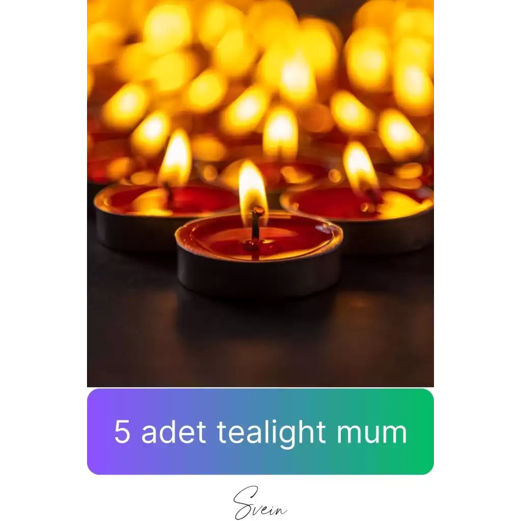Premium Sevgiliye Anneye Öğretmene Özel Kutulu Porselen Kahve Fincanı Kar Küresi Mum Seti