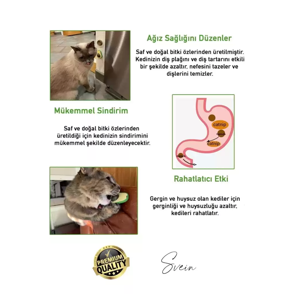 Doğal Avokado Kedi Nanesi Otu Topu Oyuncağı Yapışkanlı Yalama Sakinleştirici Catnip Yenilebilir Çimi