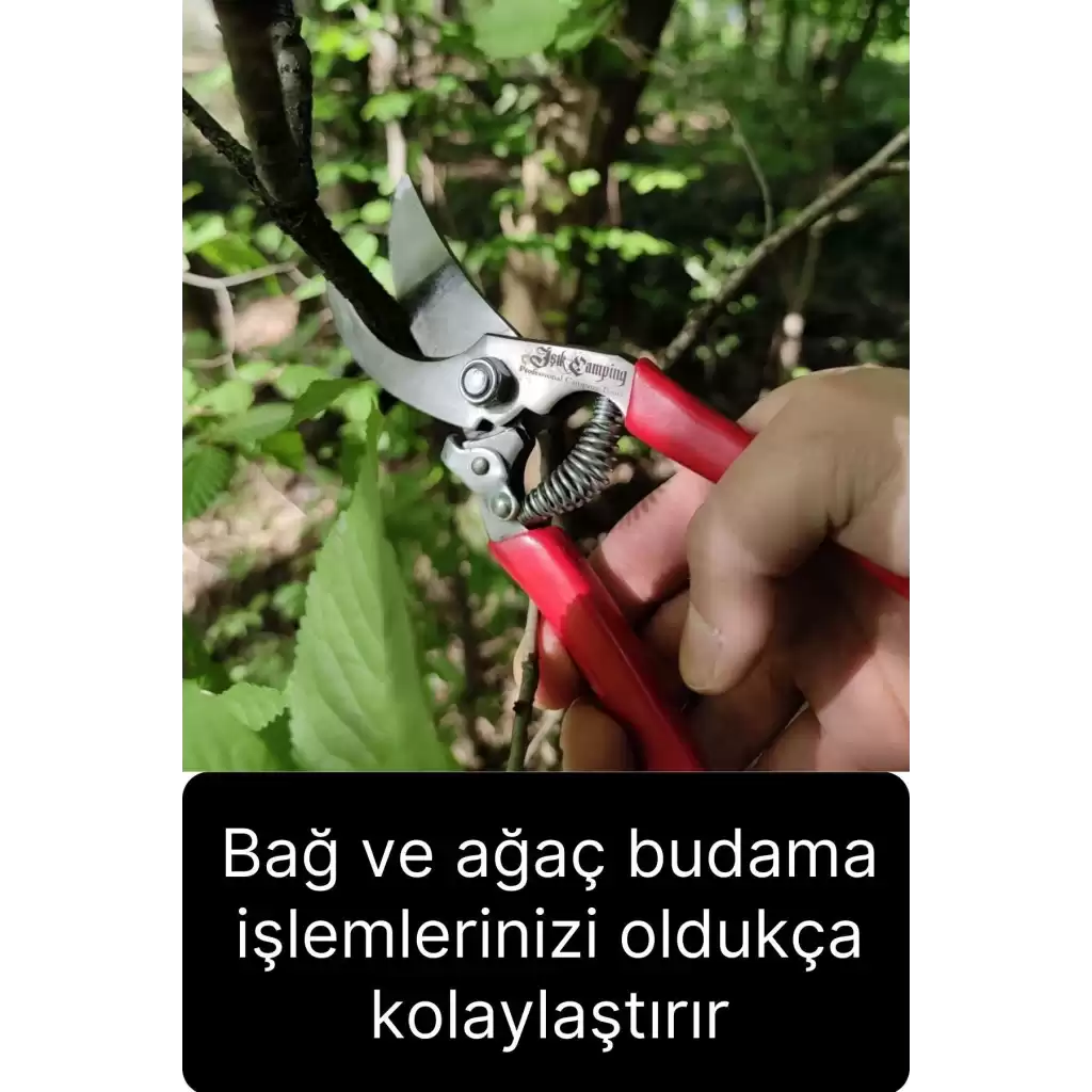 Özel Üretim Premium Bağ Ağaç Budama Makası Üzüm Bahçe Çiçek Gül Bitki Narenciye Eğri Dal Kesme Aleti