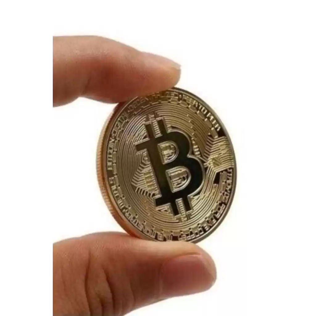 3 Adet Özel Seri Premium Bitcoin Madeni Para Kutulu Hediyelik Metal Hatıra Koleksiyon Kripto Coin