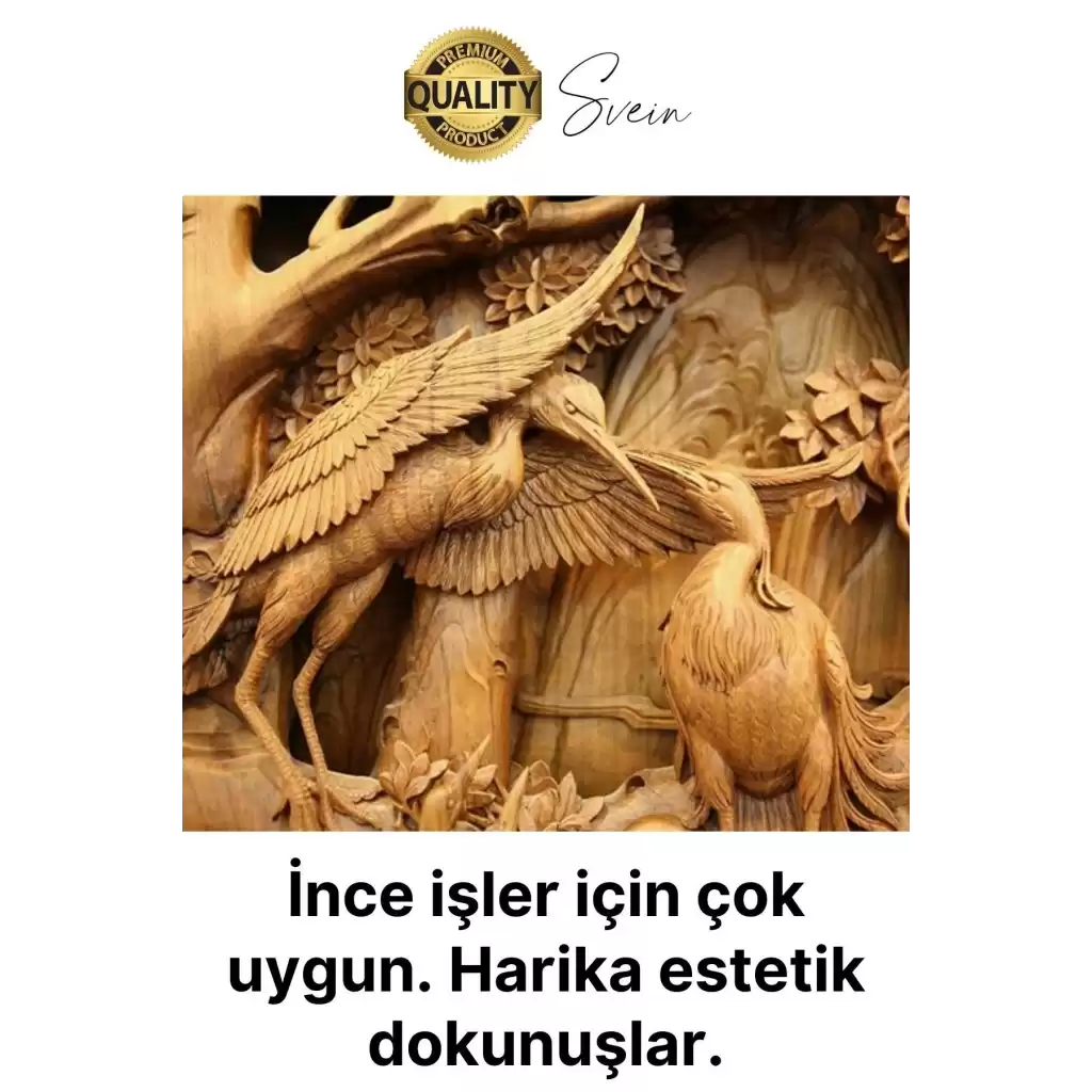 Premium Paslanmaz Ahşap El Oyma Bıçak Seti 12 Parça Siyah Uç İskarpela Hobi Profesyonel İşleme Aleti