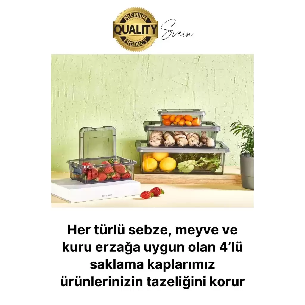 Premium Organizer 4lü Plastik Erzak Gıda Saklama Kabı Seti İç İçe Kilitli İstifleme Yer Tasarrufu