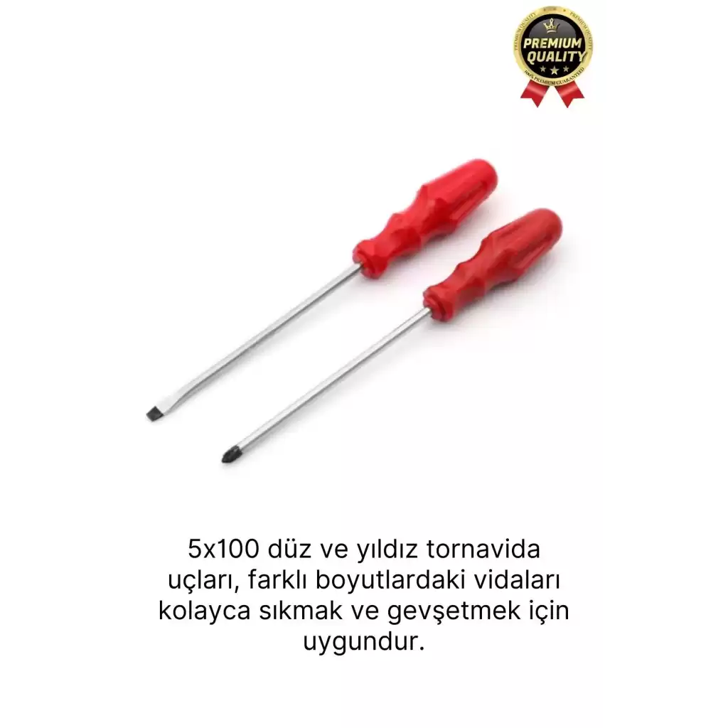 Yüksek Kalite Dayanıklı Pratik Ergonomik Tamir Vidalama Düz ve Yıldız Uçlu 2li Tornavida Seti 5x100